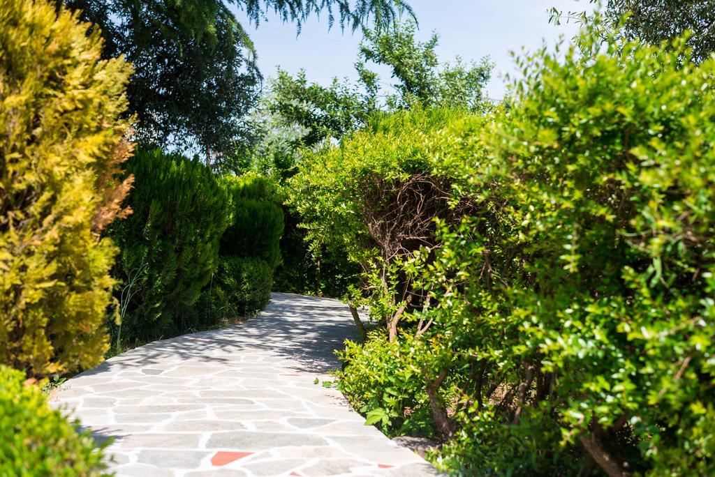 Anastasia Apartments Skala Potamia  Exteriér fotografie
